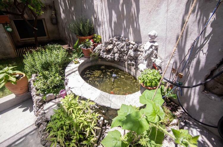 Apartmani Marko Makarska Zewnętrze zdjęcie